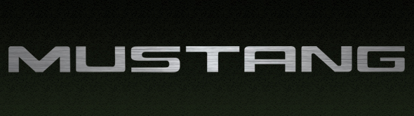 Mustang Bumper Insert Letter Brushed Stainless Steel Vinyl Decals